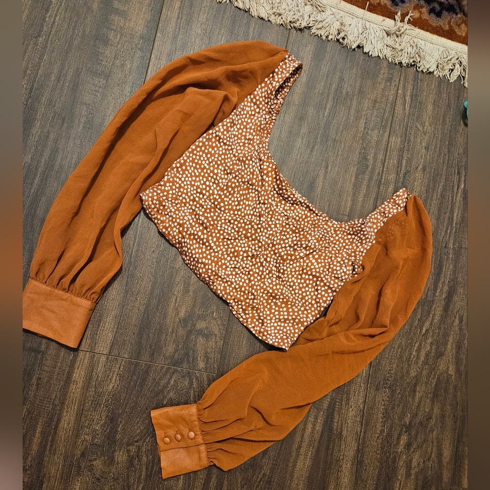 Urban Outfitters Silk Sleeve Cropped Blouse